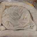 Globlazer Cactus Corner Cat Tree Tower with Scratching Post for Indoor Cats, 51in Multi-Level Cat Condo Tower with Large Hammock, Fan-Shaped Padded Perch, Spacious Cat Cave, Hanging Basket, C51, Green