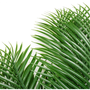 6 pcs Artificial Palm Leaves Branches for Palm Sunday Faux Fake Palms Frond Plant Artificial Tropical Plants for Floral Arrangement Hawaiian Luau Jungle Beach Wedding Party (Green) 