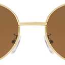 AMOMOMA Retro Oval Trendy Sunglasses for Women Designer 2024 Womens Sun Glasses Metal 90s AM6639 (Yellow)