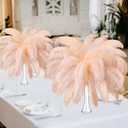 Maitys 90 Pcs Large Natural Ostrich Feathers Bulk 14-16 Inch (35-40cm) 12-14 Inch (30-35cm) 10-12 (25-30cm) Ostrich Feathers Plumes for Centerpieces Wedding (Champagne)