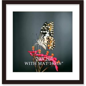 20x20 Frame Black With Mat 16x16 Solid Wood Picture Frames Wall Mounting (1 pack, 20x20 Inch)