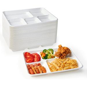 ECOLipak 100% Compostable 5 Compartment Plates, 125 Pack Disposable Paper Plates, Heavy-Duty Biodegradable Sugarcane Plates, Eco-Friendly School Lunch Trays