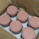 NETANY 6-pack 16oz Glass jars with Airtight Lids, Overnight Oats Containers with Lids, Wide mouth Mason Salad jars, Glass Food Storage Containers for Snacks Yogurt Spice Sugar-Pink