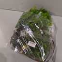 Melorca&Guilla Artificial Plants,4PCS 43.3" Green Nandina Faux Branches for Vase,Faux Greenry Stems Fake Plants for Shop Garden Office Home Décor
