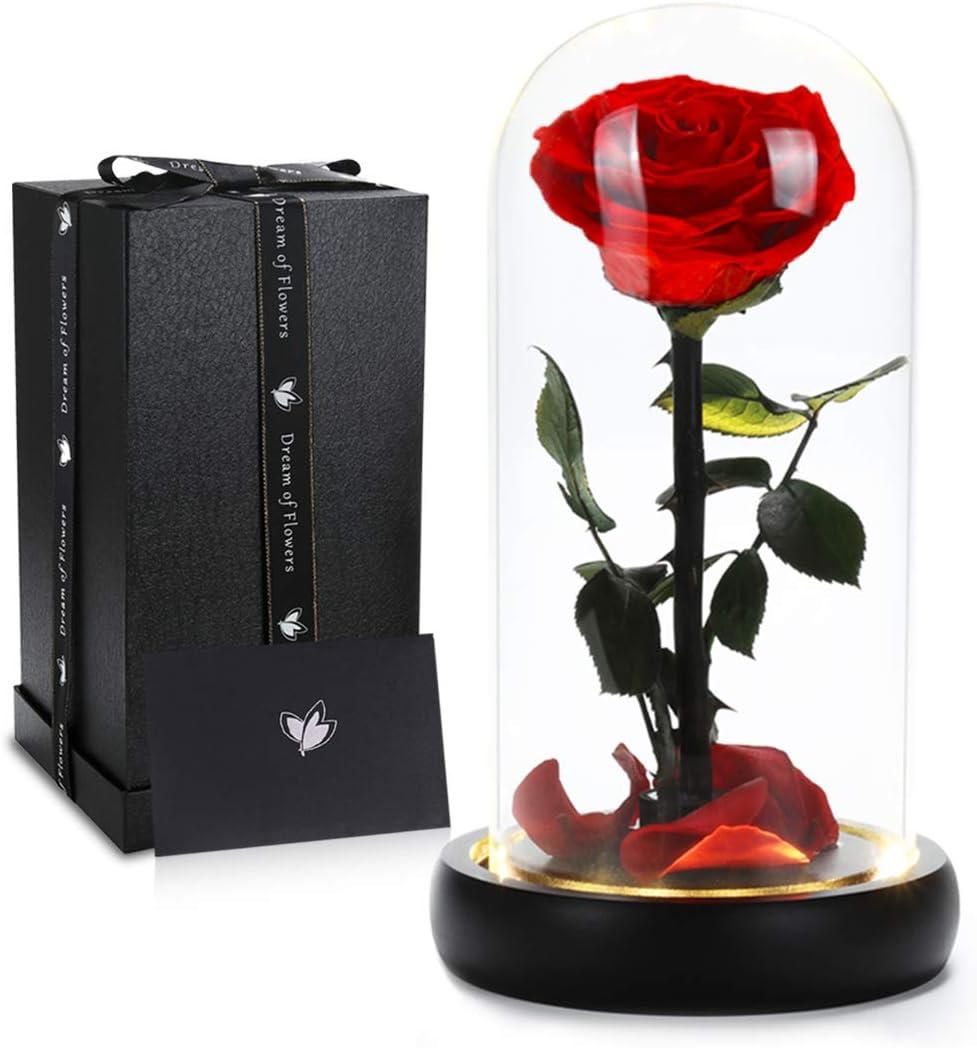 Valentines Day Gifts for Her, Beauty and The Beast Rose,Preserved Real Rose in Glass Dome,Forever Flowers with Warm Lights,Valentines Rose Gifts for Women Wife Mom Girlfriend,Birthday Gifts for Women