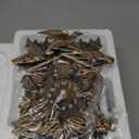 Cuckoo Clock Chiming Vintage Cuckoo Wall Clock Singing Bird Clock Home Decor Christmas Clock Gifts Resin Classic Brown