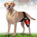 Dog Knee Brace Leg Braces - Adjustable Dog Leg Brace for Torn ACL Hind Leg Joint Pain Muscle Sore Pet Brace Black# (M)