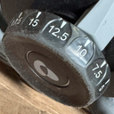 BowFlex Results Series 552 SelectTech Dumbbells (Pair)