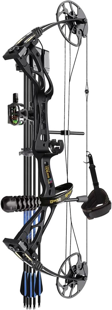 Sanlida Archery Dragon X8 RTH Compound Bow Package for Adults and Teens,18-31 Draw Length,0-70 Lbs Draw Weight,up to IBO 310 fps,No Bow Press Needed, RH Only