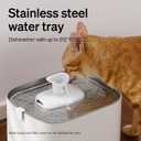 PETLIBRO Upgrade Cat Water Fountain Stainless Steel Tray, Dockstream 2 Cat Fountain Indoor, 3L/101oz Auto Cat Fountains for Drinking, App Monitoring Pet Water Fountain Dog, 5G WiFi Cat Water Dispenser