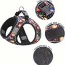 Step in Dog Harness No Pull Flower Adjustable Soft Mesh Padded Reflective Pet Vest Harness and Leash Set, XS