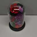 Preserved Roses,Forever Fresh Flowers 7.48in,Gift for Women,Mom,Grandma,Wife,Girlfriend,Sister,and Daughter Perfect for Birthday,Mothers Day,Valentines Day (Mystic Purple2)