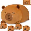 Capybara Plush, Soft Stuffed Animal Pillow Toy, Capybara Mommy with 4 Baby Plushies Family Set, Cute Birthday Gift for Kids Boys Girls Adults