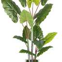 Artificial Plant Indoor 5.5FT - Fake Tree with White Tall Planter - Faux Silk Plants Tall Fake Floor Plant in Pot - Artificial Trees for Home Office Living Room Decor Indoor
