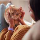 Wepro Stretchy Solo Loop, Compatible with Apple Watch Band 38mm 40mm 41mm 42mm 44mm 45mm 46mm 49mm for Women Men, Soft Nylon Elastic Breathable Strap for iWatch Series SE 10 9 8 7 6 5 4 3 2 1 Ultra (Lavender Purple)