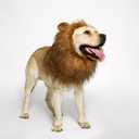 Realistic & Funny Lion Mane for Dogs Complementary Lion Mane for Dog Costumes for Medium to Large Sized Dogs Costumes for Animals