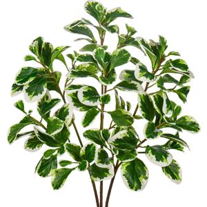 3PCS 27" Fake Plants, Tall Artificial Peperomia Tetraphylla Leaf Branches, Real Touch White Green Fake Leaves Faux Greenery Stem for Vase Arrangement Kitchen Console Table Decor