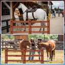 AceOrbit 6.5 Ft Fence Cardboard Cutout Life-Size Western Party Decoration Cowboy Cowgirl Backdrop Photo Props for Horse Racing Theme Party Derby Day Supply Decor
