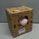 LOGOFUN Pig Molding Piggy Bank Vinyl Pig Coin Money Bank Creative Saving Pot for Home Office Desktop Decoration - Eyes Open