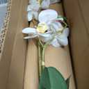 Dolly Parton White Artificial Orchid in Pink Ceramic Pot, 9.8x5.5x24 Inch