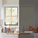 LazBlinds Cordless 1" Vinyl Mini Blinds for Indoor Windows - Light Filtering Horizontal Window Blinds & Shades, 55" W x 64" H, Beige
