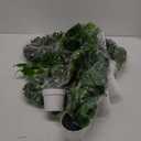 Fake Pothos Hanging Plants - Set of 2 Artificial Silk Ivy Vines with Pots, Realistic Faux Greenery for Indoor Home Decor, Low Maintenance Hanging Plant Decoration (Golden Green)