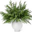 WeGuard 16 Pcs Real Touch Artificial Norfolk Pine Branches, 18 Inches Faux Norfolk Pine Stems Fake Christmas Greenery Picks for Vase DIY Garland Wreath Christmas Decorations Indoor Outdoor