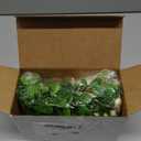 Hanging Eucalyptus Boho Wall Decor Large Boho Bedroom Wall Hanging Wooden Bead Garland Artificial Eucalyptus Natural Greenery Decoration, 36 x 36 Inch (Simple Color, Wood Chip Style)