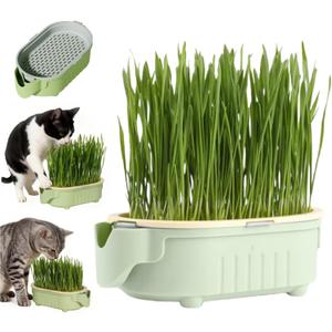 Hydroponic Cat Grass Growing Kit with Germination Tray, Easy-Grow Cat Grass Planter for Indoor Gardening, Soilless Planting Pot for Hairball Control