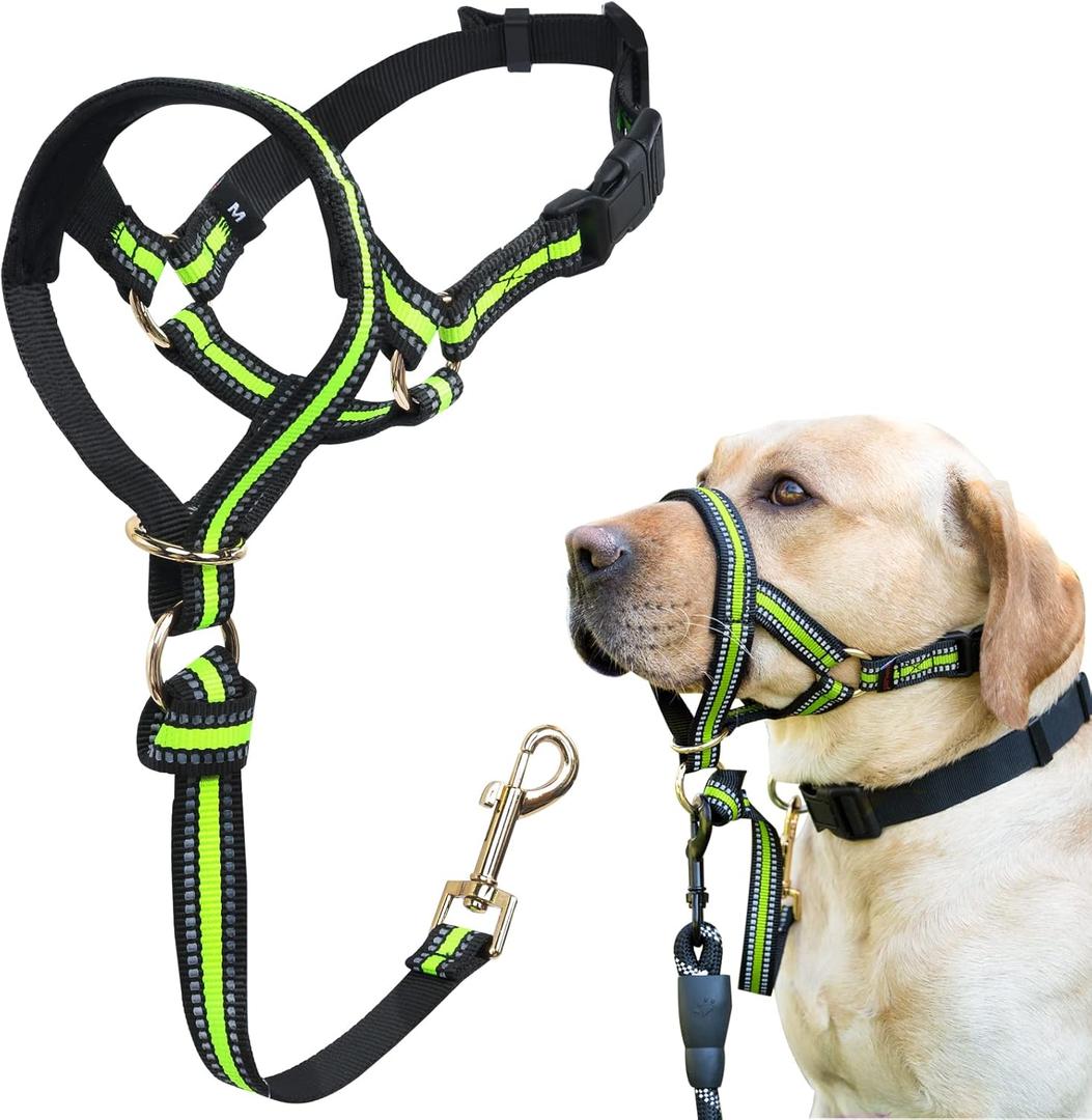 BARKLESS Muzzle Leash for Heavy Pullers, No Pull Stylish Head Halter for Small and Medium Aggressive Dogs, Gentle Dog Face Harness Stops Pet Pulling and Choking on Walks, Adjustable Head Collar (S (Snout Cir: 7"-9"), Green)