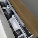 ZMISHIBO 72 inch Large Ceiling Fans with Lights and Remote, Indoor/Outdoor Black Modern Ceiling Fan for Kitchen Living Room Patio, 6 Speed Reversible Quiet DC Motor, 3 CCT, Dual Finish 8 Blades