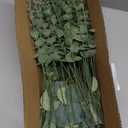 lovemoon Mixed Greenery Artificial Eucalyptus Stems, Baby Breath Artificial Flowers Bulk and Eucalyptus Leaves for Wedding Bouquets Home Office Floral Decor (100, Green and White)