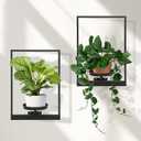 Wall Plant Holder Floating Shelves for Wall Set of 2, Wall Planters for Indoor Plants - Premium Metal Hanging Plant Holder for Indoor Outdoor Decor