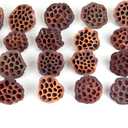 Dried Lotus Pods Pack of 25 Pods for Floral Arrangement and Home Decor,Natural Seed Heads for Vase Fillers, Dried Flower Centerpieces