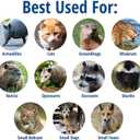 Havahart Large 2 Door Humane Catch and Release Live Animal Trap for Armadillos, Beavers, Bobcats, Small Dogs, Cats, Foxes, Groundhogs, Nutria, Opossums, Raccoons, Live Catch Trap for Stray Dogs 1045SR