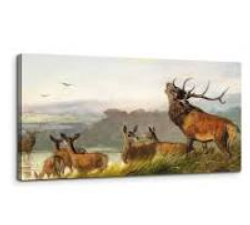 SERIMINO Animal Deer Vintage Wall Art for Living Room, Meadow Landscape Canvas Prints, Retro Large Wall Decor, Nature Scenery Canvas Prints, Farmhouse Home Decor for Bedroom, 20x40 Inch