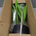 Faux Plants Dracaena Artificial Plant Realistic Green 16.1" Fake Plants in Pot Small Indoor Plants Fake Potted Plants Artificial Decor for Home Living Room Bathroom Office House Table Desk Shelf