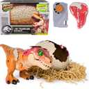 Primal Hatch Jurassic World Interactive Toy Dinosaur & Egg, Hatch & Train Your own Baby Dino with 100+ Sounds & Reactions, Kids Toys for Boys & Girls Aged 5 & Up (Multi Color)