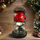 Gift for Her Forever Flower Bouquet for Delivery Prime Preserved Red Roses Glass Dome LED Light 100 Languages I LOVE YOU Necklace Mothers Day Birthday Romantic Valentines Gift for Wife Women Mom