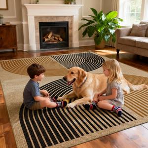 Washable Rainbow Easy Jute Rug 8x10, Neutral Geometric Modern Outdoor Indoor Patio Farmhouse Large Rugs, Woven Non Slip Thin Carpet for Living Dining Play Room Bedroom Classroom Kids Nursery