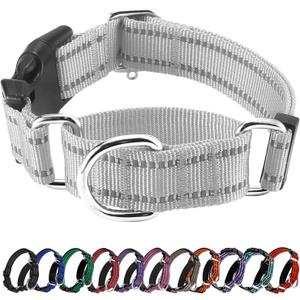 Hikiko Reflective Martingale Dog Collars for Large Dogs with Buckle Nylon Training Walking No Pull Collars, Sliver Gray, L