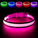 Flashseen LED Dog Collar, USB Rechargeable Light Up Dog Collar Lights, Adjustable Comfortable Soft Mesh Safety Pet Collar for Medium Dogs (Medium, Candy Pink)