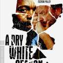 A Dry White Season (The Criterion Collection) [DVD]