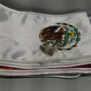 GradPlaza Mexican Graduation Sash Graduation Stole Country Flag National Stole Sash 72 Inches