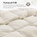 Joysoul Lightweight Down Comforter Queen Size, Goose Feathers Fiber Comforter for Hot Sleepers, Breathable & Ultra Soft Fluffy Duvet Insert, Thin Bedding for Summer,Cream (88" X 88")
