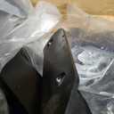 722-073 722-010 722-001 Rear Leaf Spring Rearward Shackles Hangers and Forward Hangers For 1998-2008 Ford Ranger 1998-2010 Mazda B4000