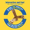 N-Bone Quado Interactive Chew, Peanut Flavor, Average Joe, 2.8oz, Natural, Medium (Pack of 1) (EXP 08/02/27)