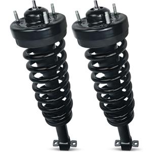 4WD Front Struts w/Coil Springs for 2015-2020 Ford F150 Complete Shock Absorbers Replacement Assembly (2015-2020)