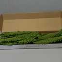 35" Ferns Artificial Bush Plants Large, 2 Artificial Boston Ferns with 39 Fronds for Outdoors Home Decor (35" 2 Pcs)