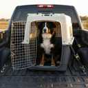 SportPet Airline Compliant XX-LARGE 39" Travel Dog Kennel-Durable Plastic Airline Pet Carrier w/ Removable Wheels & Food Bowls, Collapsible Indoor/Outdoor Dog Kennel, Dogs up to 36"L & 27"H-Cream/Gray